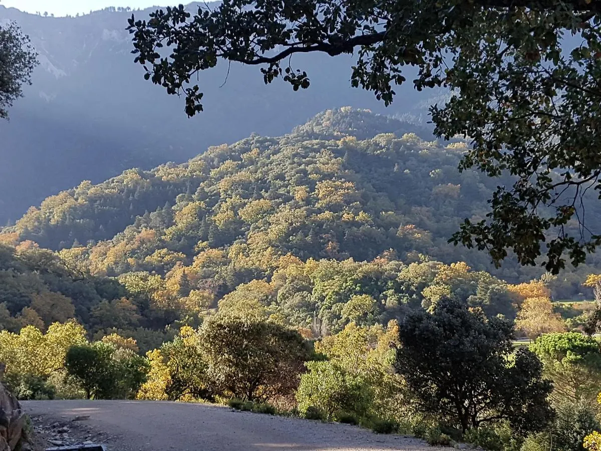 Finca Maravilla Verde Puerto Serrano Spagna